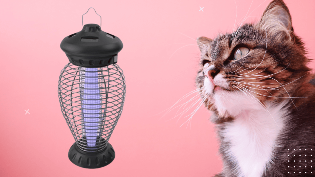 can a bug zapper kill a cat