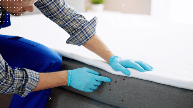 can you wash bed bug mattress covers