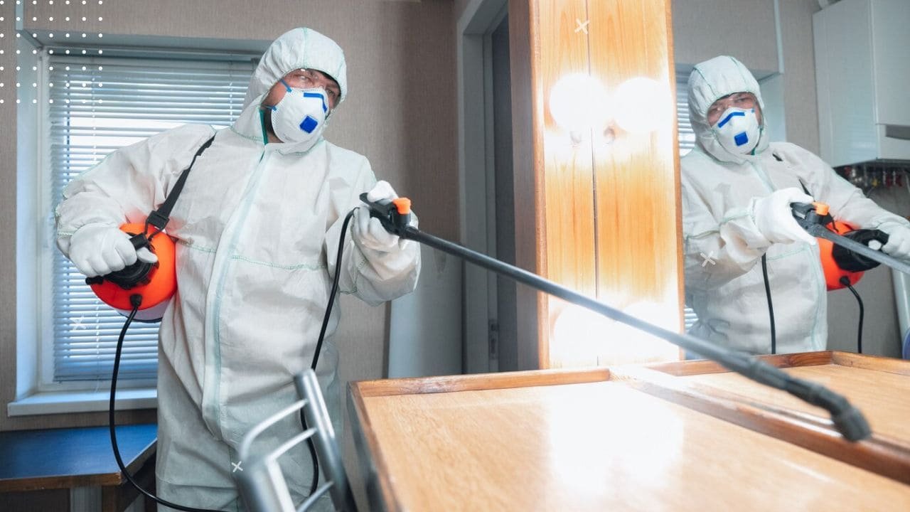 where does pest control spray in apartments