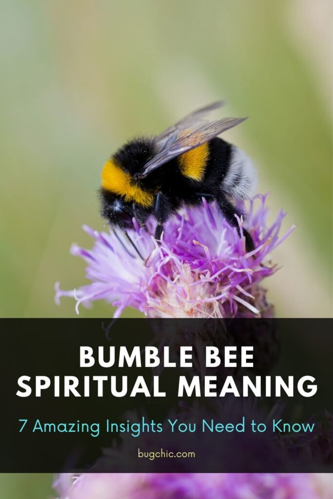 Bumble Bee Spiritual Meaning 2