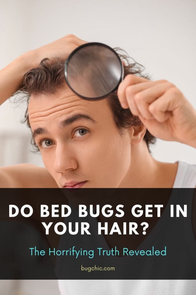 Do Bed Bugs Get in Your Hair 6