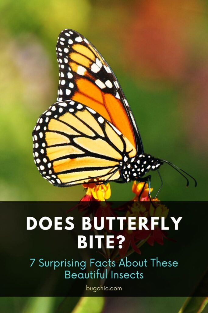Does Butterfly Bite 6